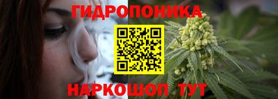 круглые Бийск