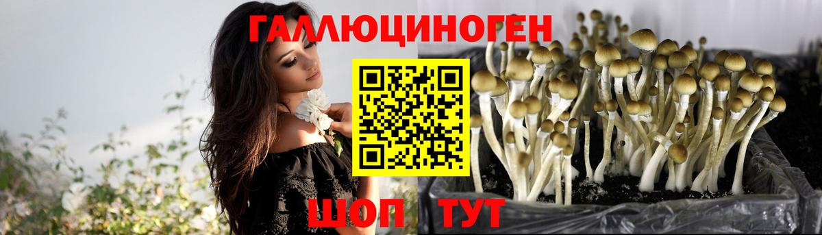 Верхняя Пышма  Галлюциногенные грибы ЛСД  Вход с VPN 